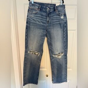 American Eagle Curvy Straight High Rise Jeans BRAND NEW